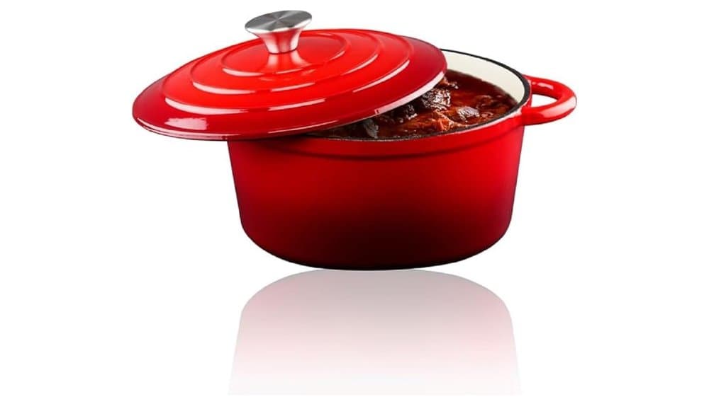 Alpina Cast Iron Roasting Dish with Lid - Test et Avis