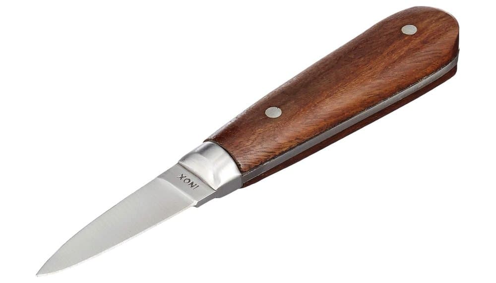 La Bonne Graine N4172 Austernmesser Test und Bewertung